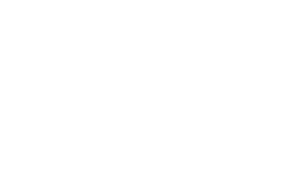 S8