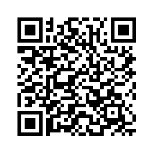 QR code to access slides