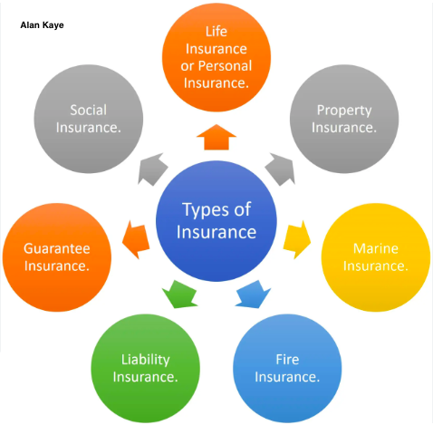 Alan Kaye Types of insurance that individuals and businesses