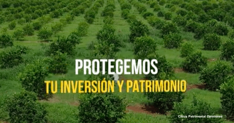 Citrus Patrimonial ¿Es confiable para los inversionistas?