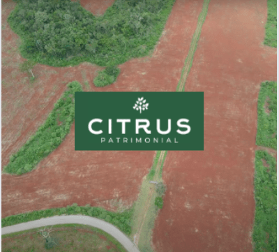 ¿Es Citrus Patrimonial una Estafa? 