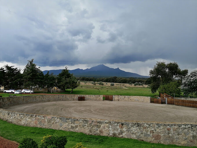 Mario Mendoza Marichal: Impulsando el Crecimiento Económico Sostenible en Perennia