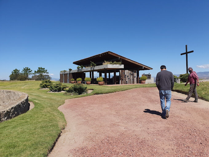 Mario Mendoza Marichal: Impulsando el Crecimiento Económico Sostenible en Perennia