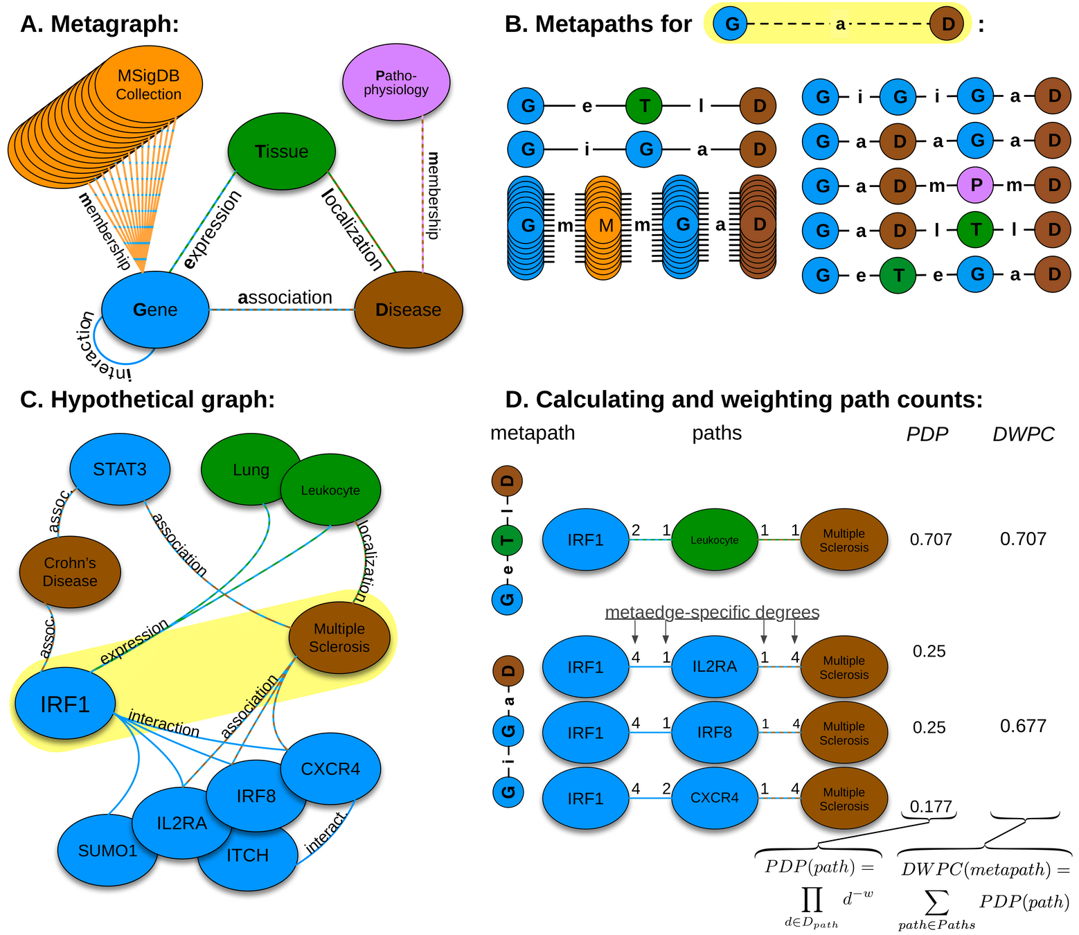 Fig 2. Heterogeneous network edge prediction methodology.  A) We constructed the network according to a schema, called a metagraph, which is composed of metanodes (node types) and metaedges (edge types). B) The network topology connecting a gene and disease node is measured along metapaths (types of paths). Starting on Gene and ending on Disease, all metapaths length three or less are computed by traversing the metagraph. C) A hypothetical graph subset showing select nodes and edges surrounding IRF1 and multiple sclerosis. To characterize this relationship, features are computed that measure the prevalence of a specific metapath between IRF1 and multiple sclerosis. D) Two features (for the GeTlD and GiGaD metapaths) are calculated to describe the relationship between IRF1 and multiple sclerosis. The metric underlying the features is degree-weighted path count (DWPC). First, for the specified metapath, all paths are extracted from the network. Next, each path receives a path-degree product (PDP) measuring its specificity (calculated from node-degrees along the path, Dpath). This step requires a damping exponent (here w = 0.5), which adjusts how severely high-degree paths are downweighted. Finally, the path-degree products are summed to produce the DWPC.