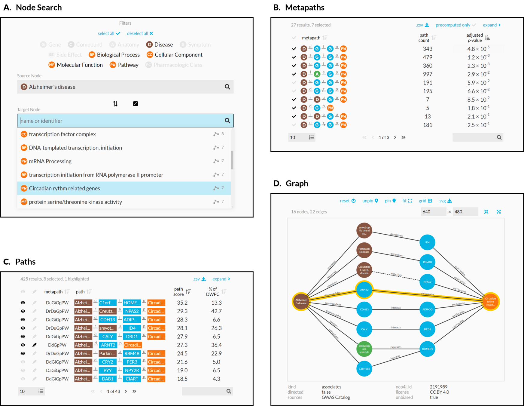 C. Paths for the selected metapaths are ordered by their path score (limited to 100 paths for each metapath). The user selects 8 paths (1 from a subsequent page of results) to show in the graph visualization and highlights a single path involving ARNT2 for emphasis.