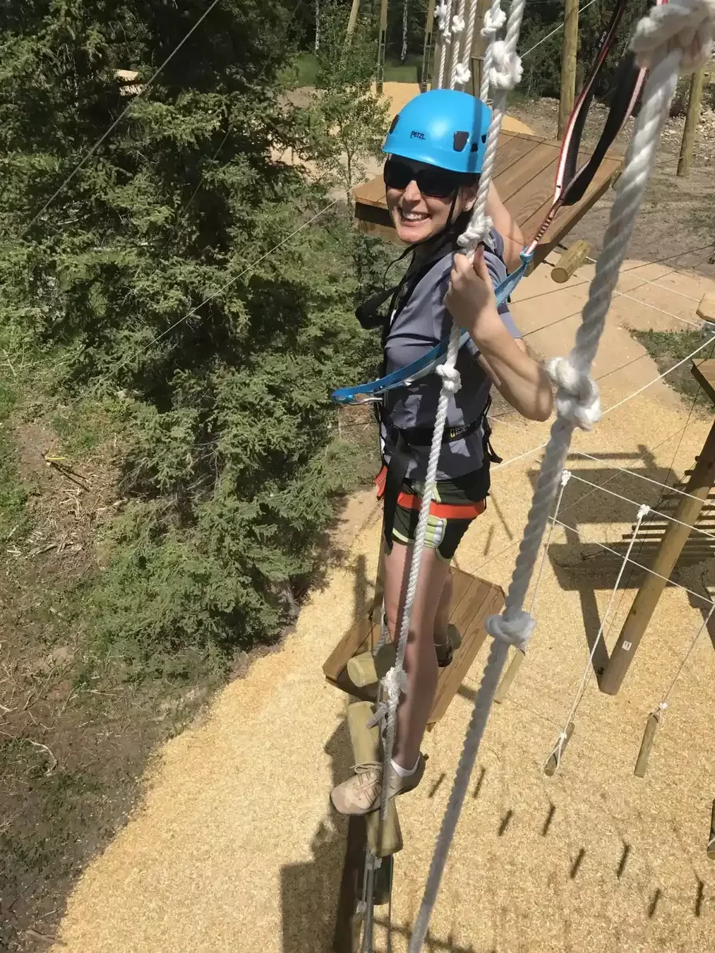 Alison Schrag: Professional In Estate Litigation