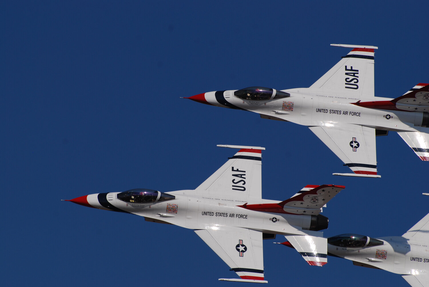 Dr. Michael Piepkorn: Melanoma Diagnosis Authority