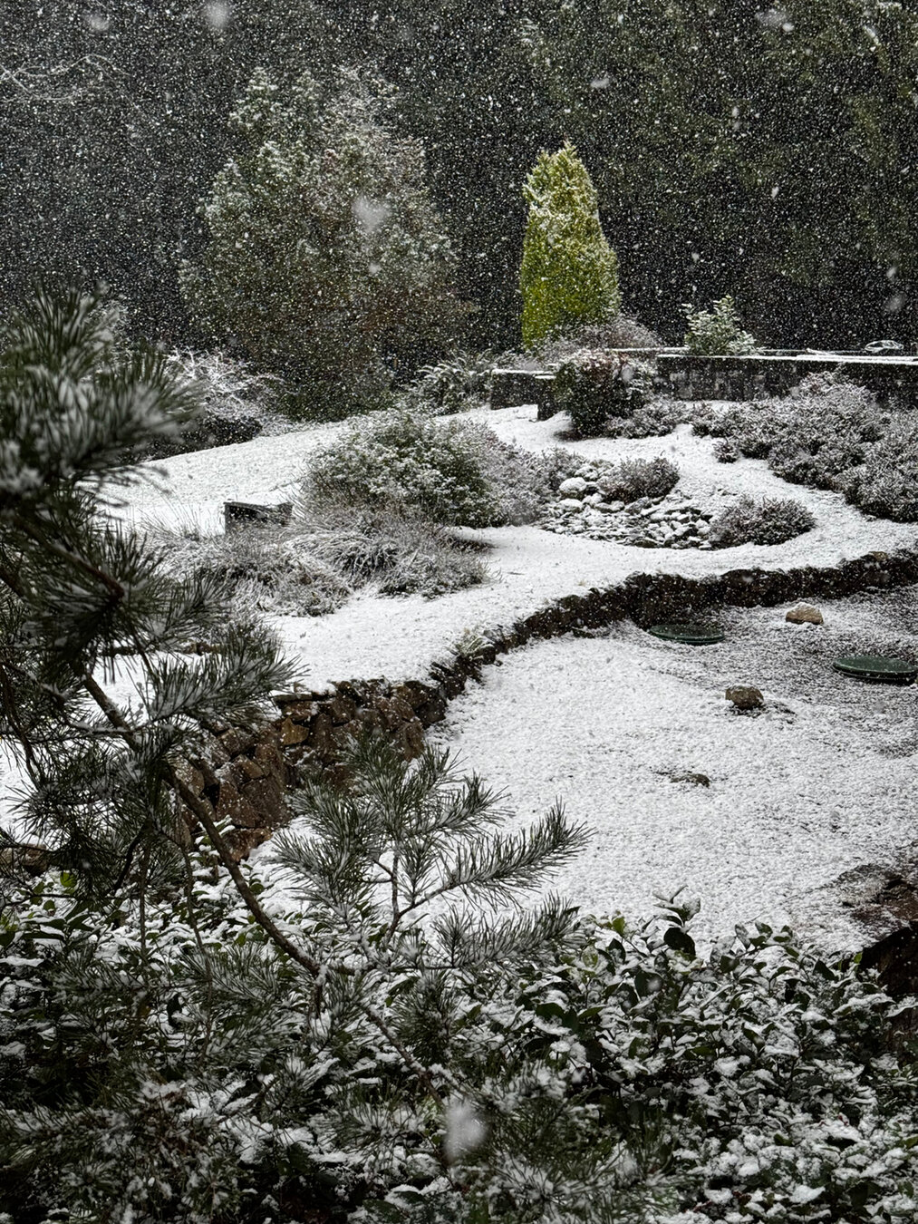 Dr. Michael Piepkorn: Diagnostic Pathology Specialist