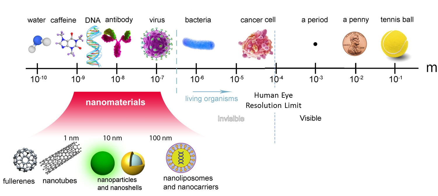 What is the differences between BioTechnology and NanoTechnology? by