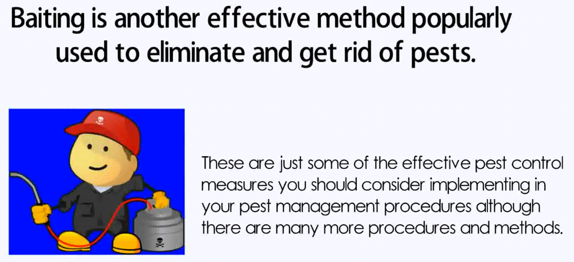 The Most Effective Pest Control Methods By Professionals