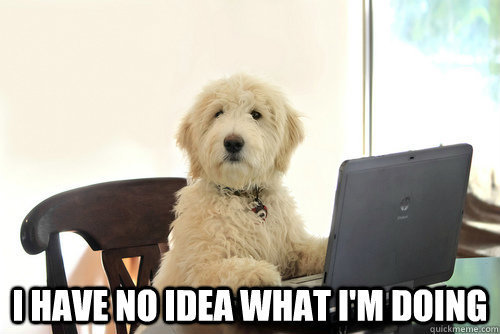 So I Have No Idea What To Do Now?