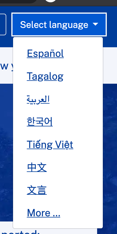 Language pulldown screenshot showing 7 language options