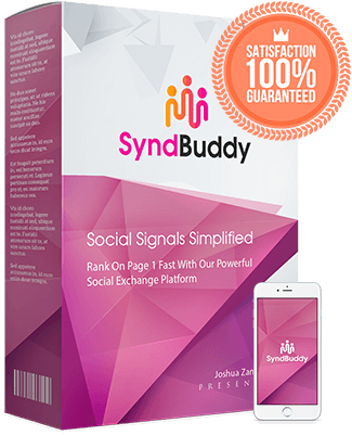 syndbuddy video ranking software