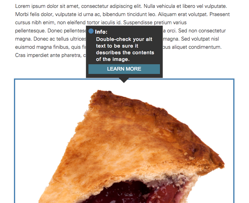 Page preview containing an image, with an annotation on that image reminding the user to include meaningful alt text