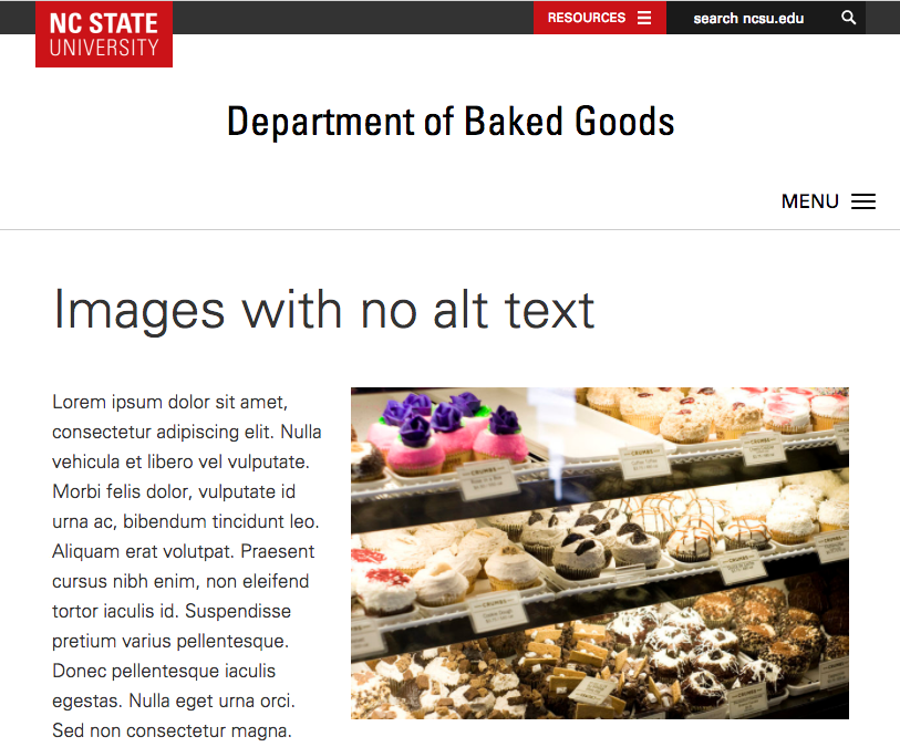 A webpage with an image; the image does not have alt text