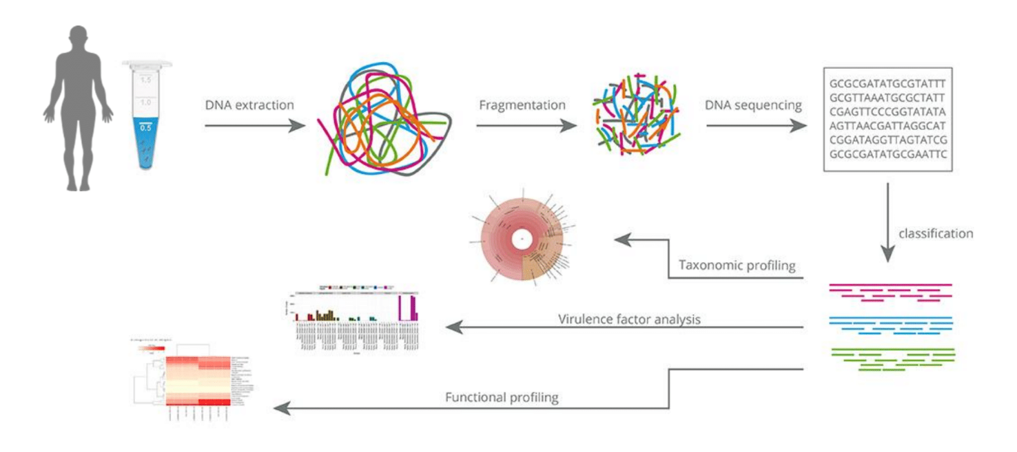 Pathogenesis of breast cancer. 16 s секвенирование микробиоты. 16 s секвенирование микробиоты. Метагеномные исследования. Секвенирование микробиоты кишечника.