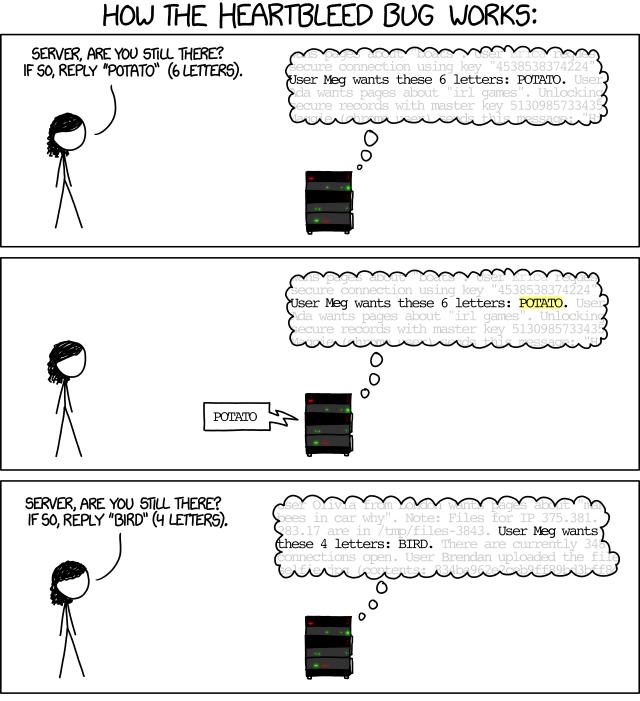 Busy картинка. Are you a server перевод. Interpreter in cartoons. Oopsie woopsie uwu we made. Are you a server перевод.