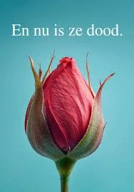 En Nu Is Ze Dood
True Crime Documentary, 1 episode
Subtitling from nl-BE into EN