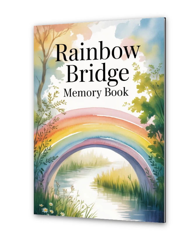 Not All Gifts Come In Boxes… Some Hold Memories