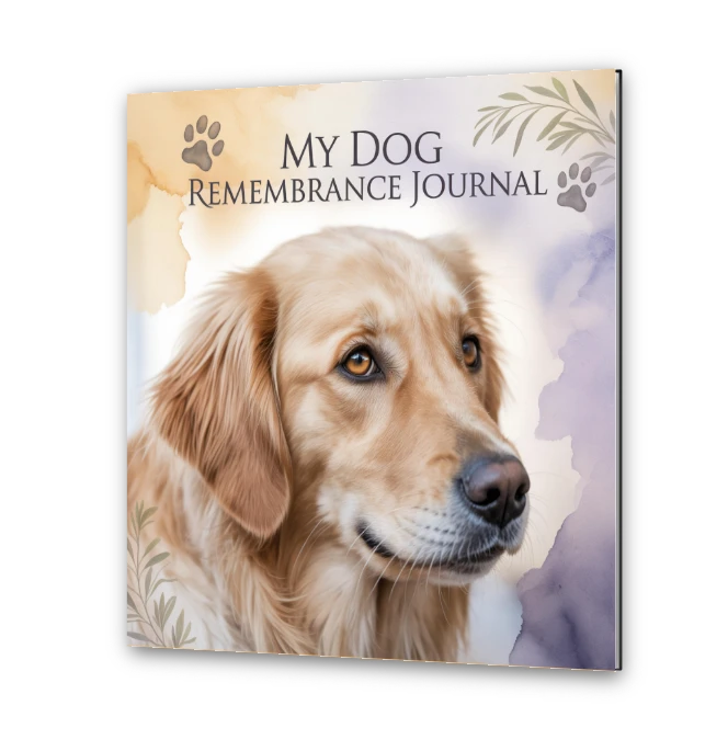 A Gentle Memory Journal To Help You Heal