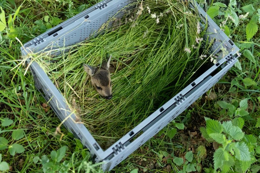 Kitzrettung Dokumentation