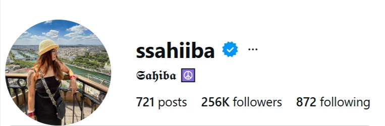 Instagram Strategy Visual