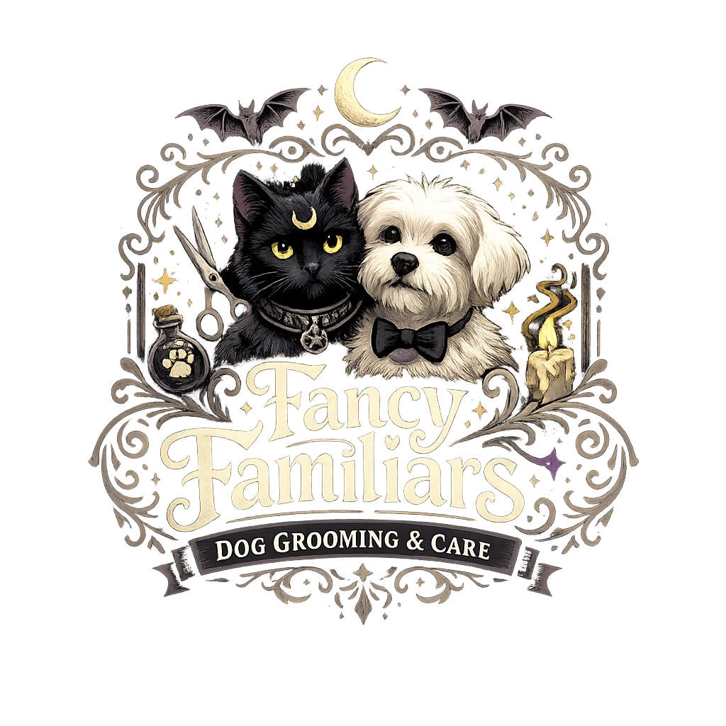 A beautifully groomed dog in an elegant setting