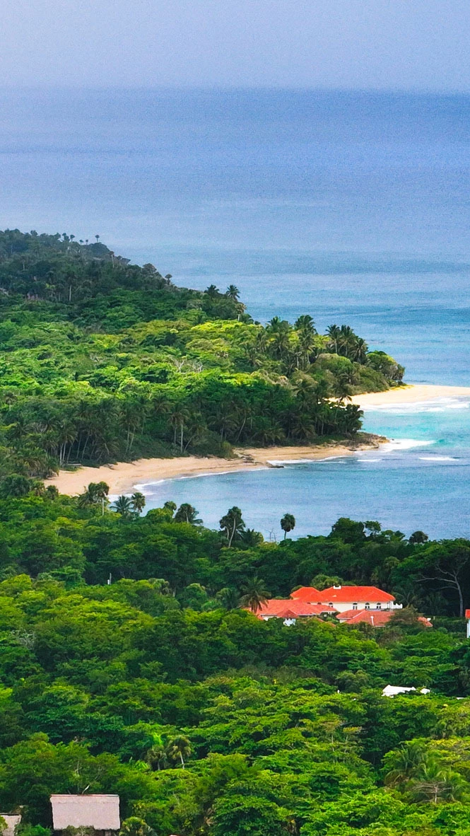 Close up of palm leaf against blue sky