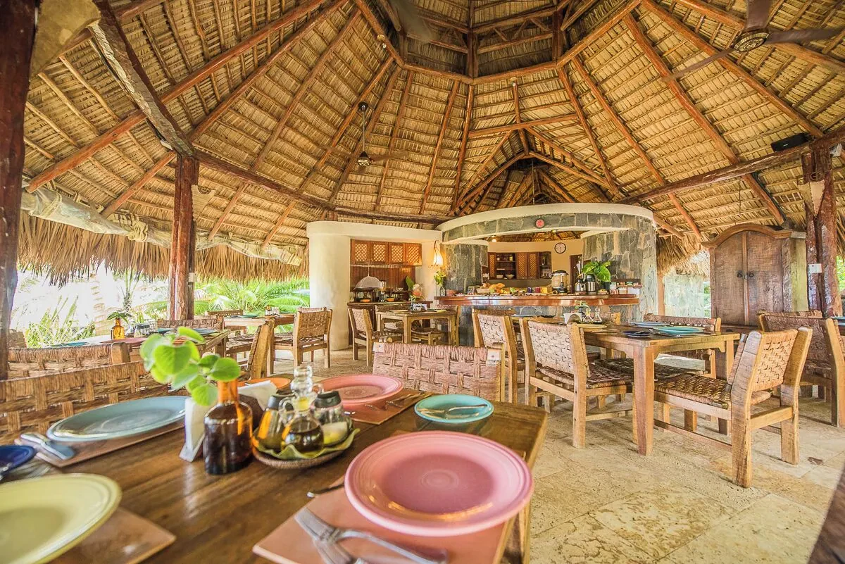 Close up of palm leaf against blue sky