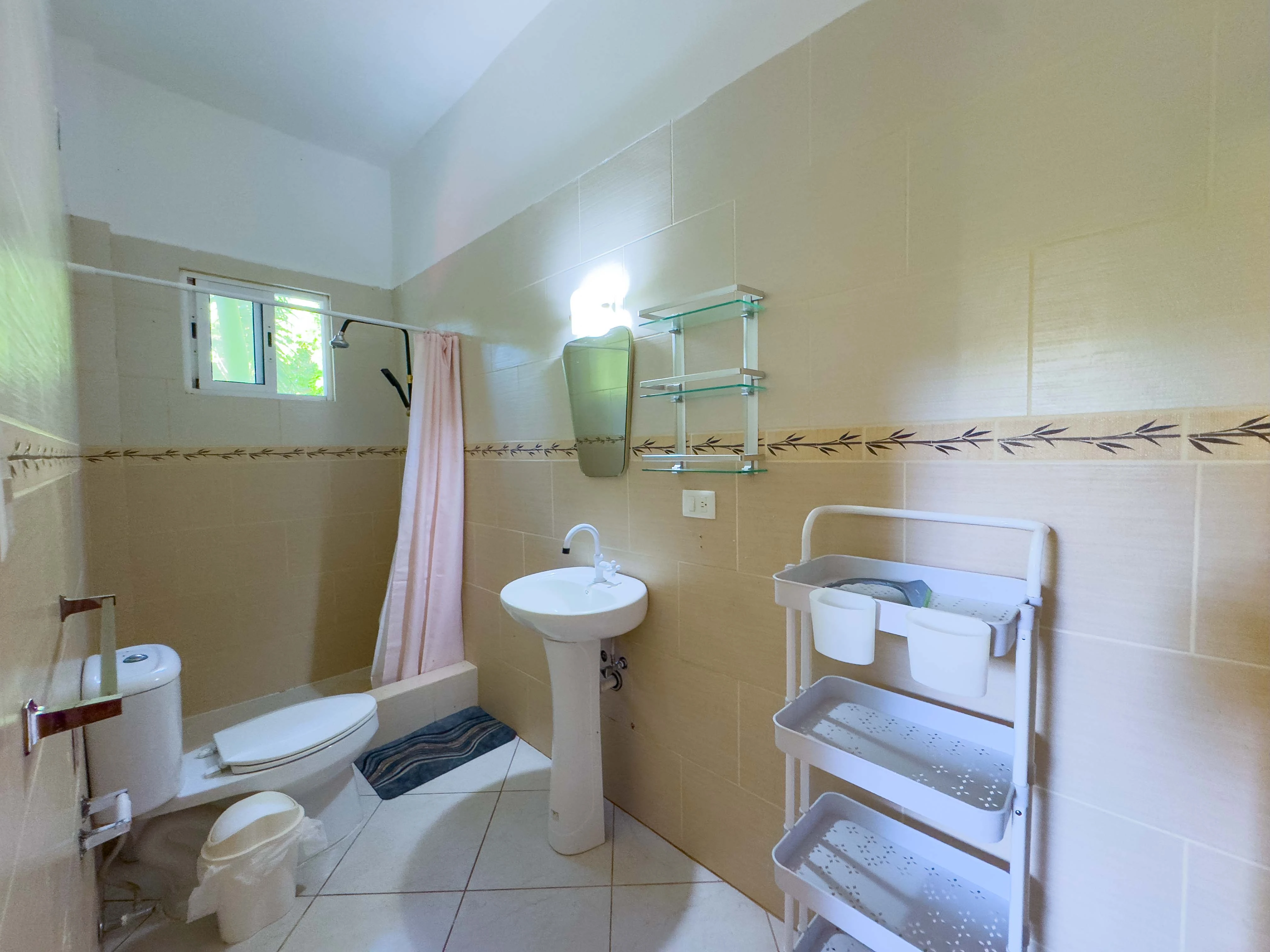 Tropical Garden Path