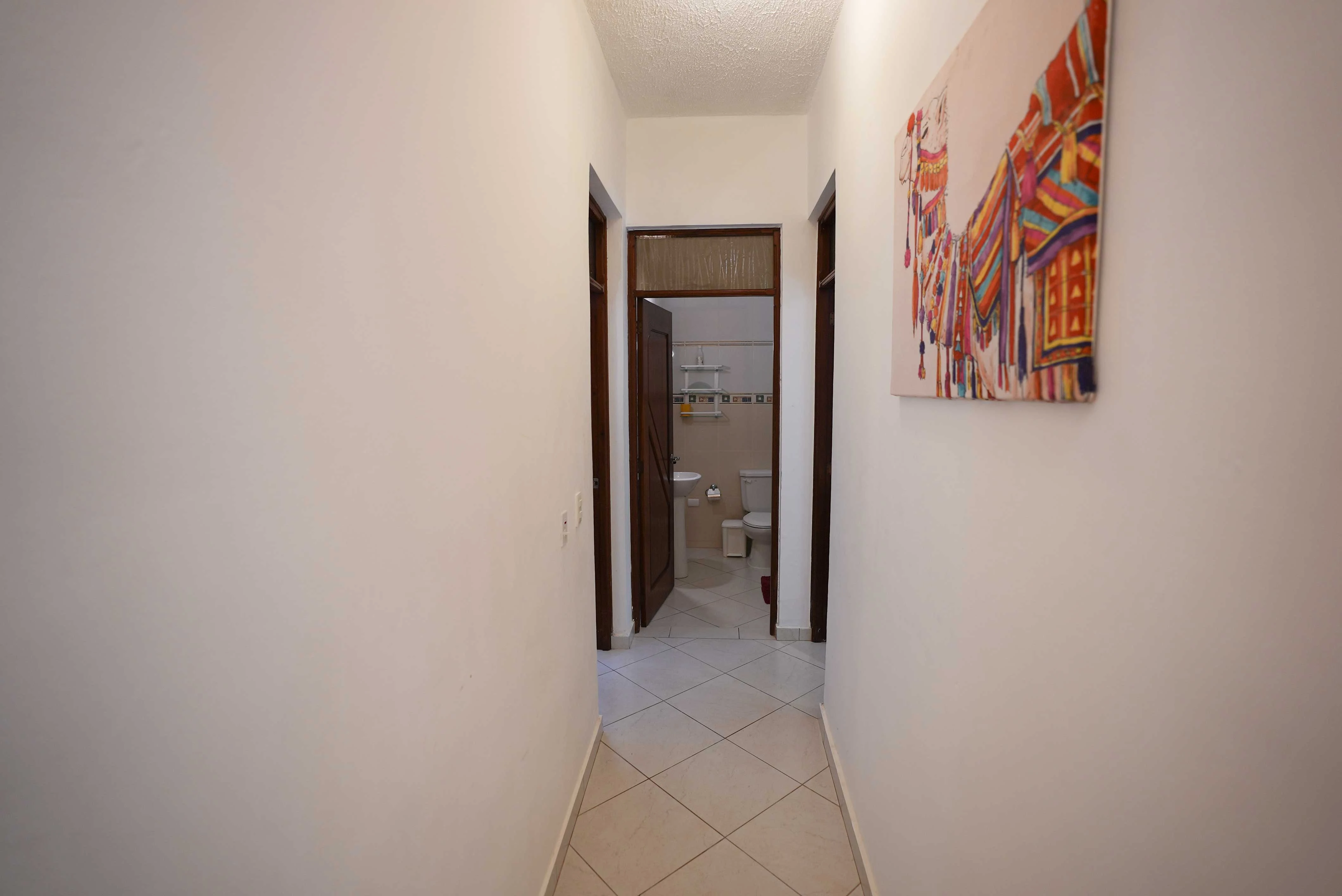 Tropical Garden Path