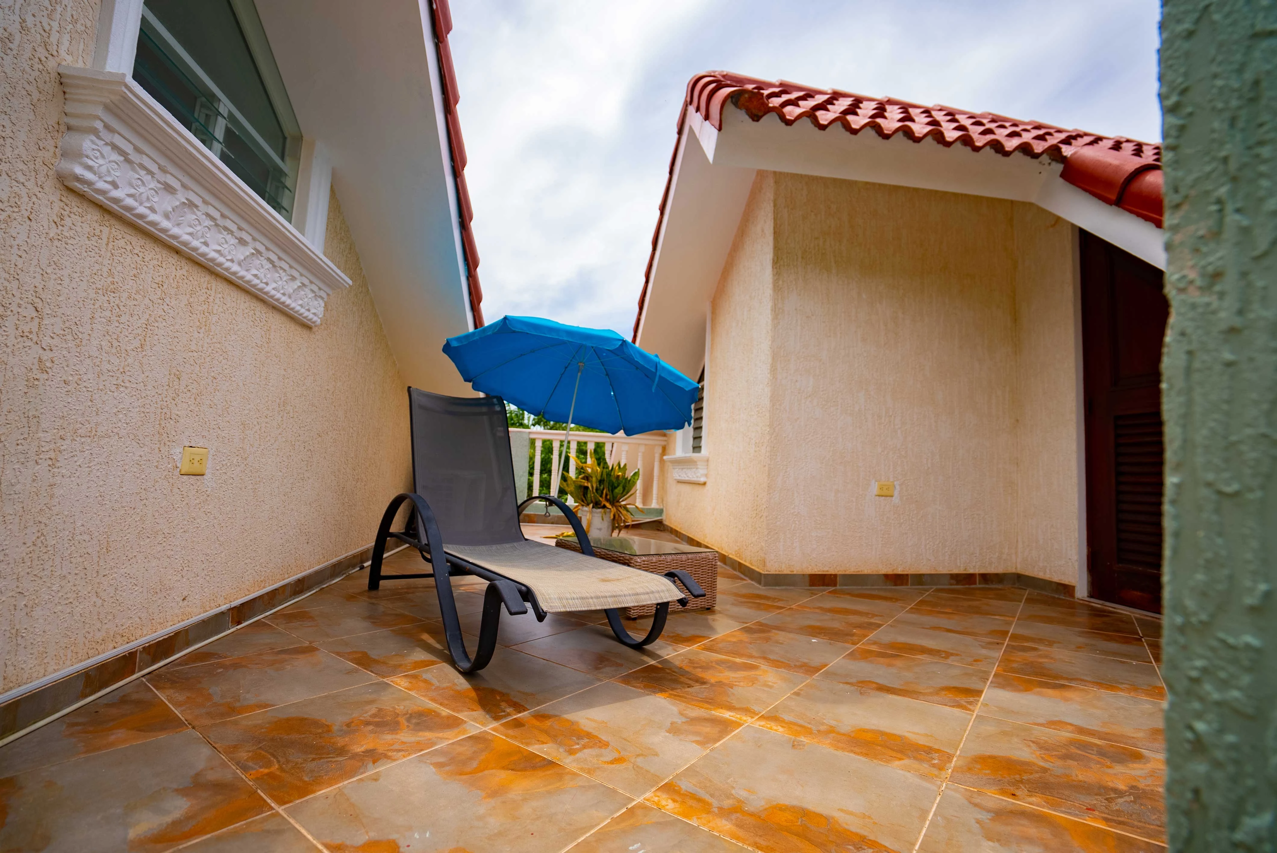 Close up of palm leaf against blue sky