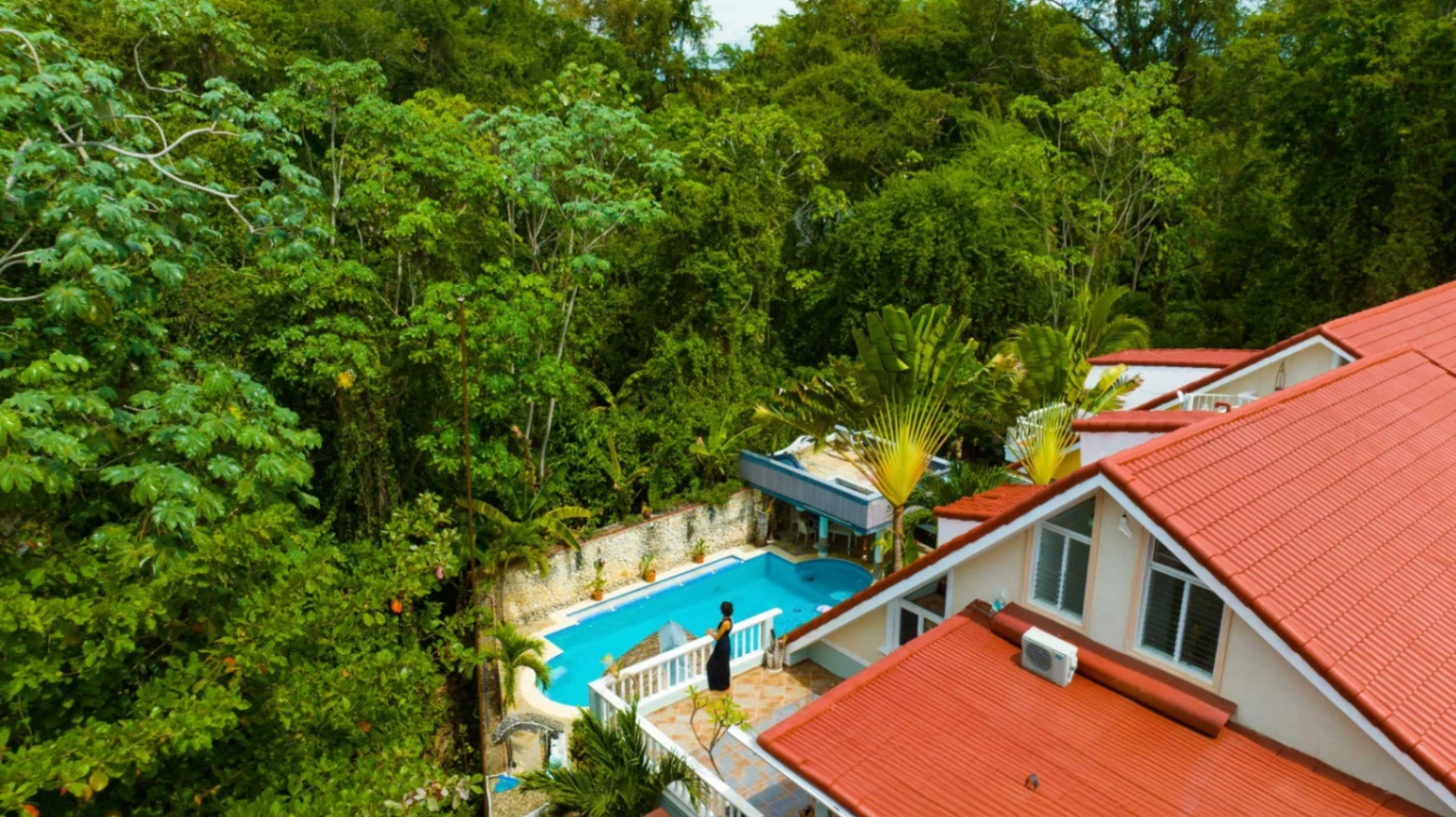 Palm tree swaying in wind against blue sky