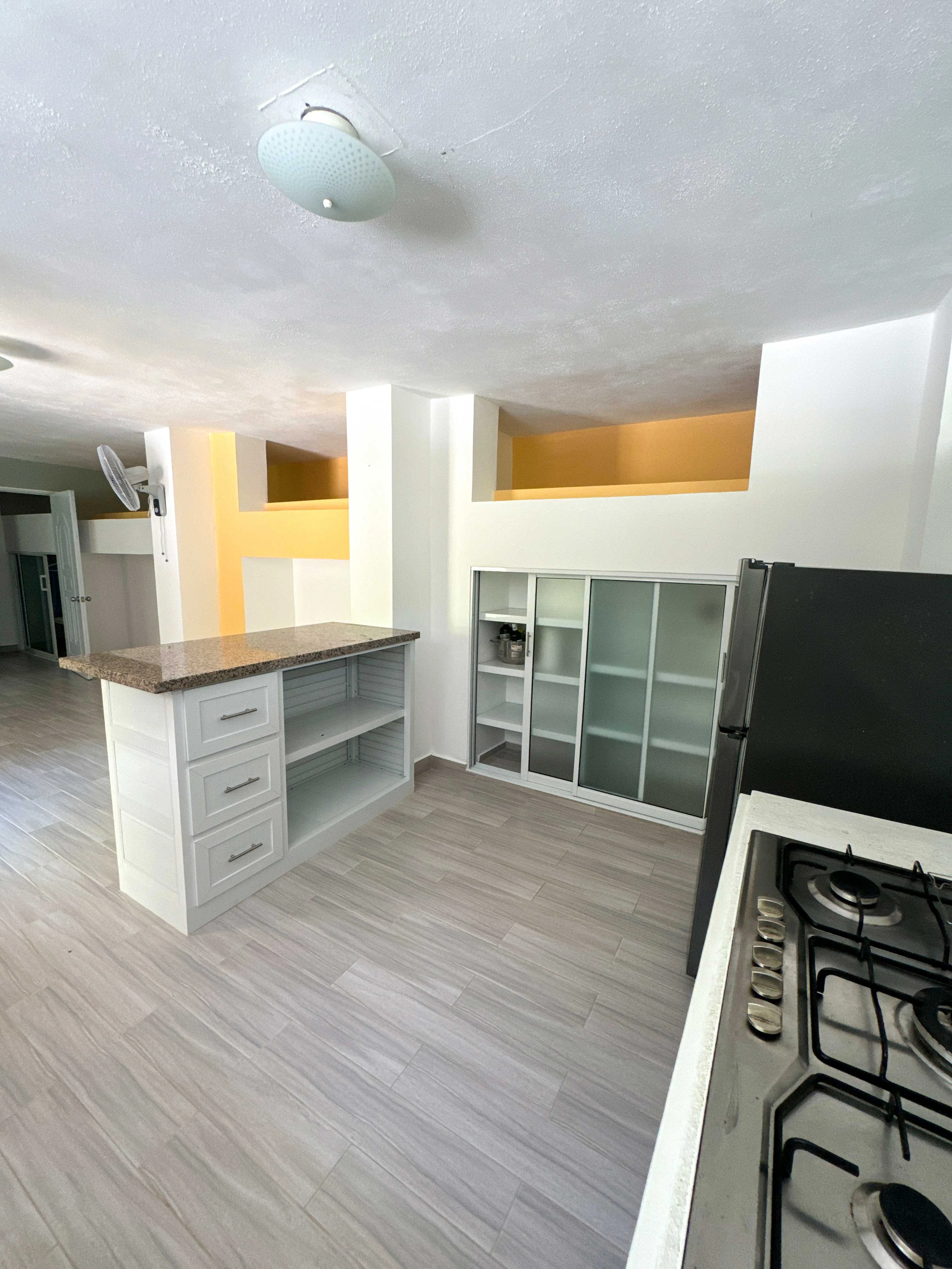 Palm tree swaying in wind against blue sky