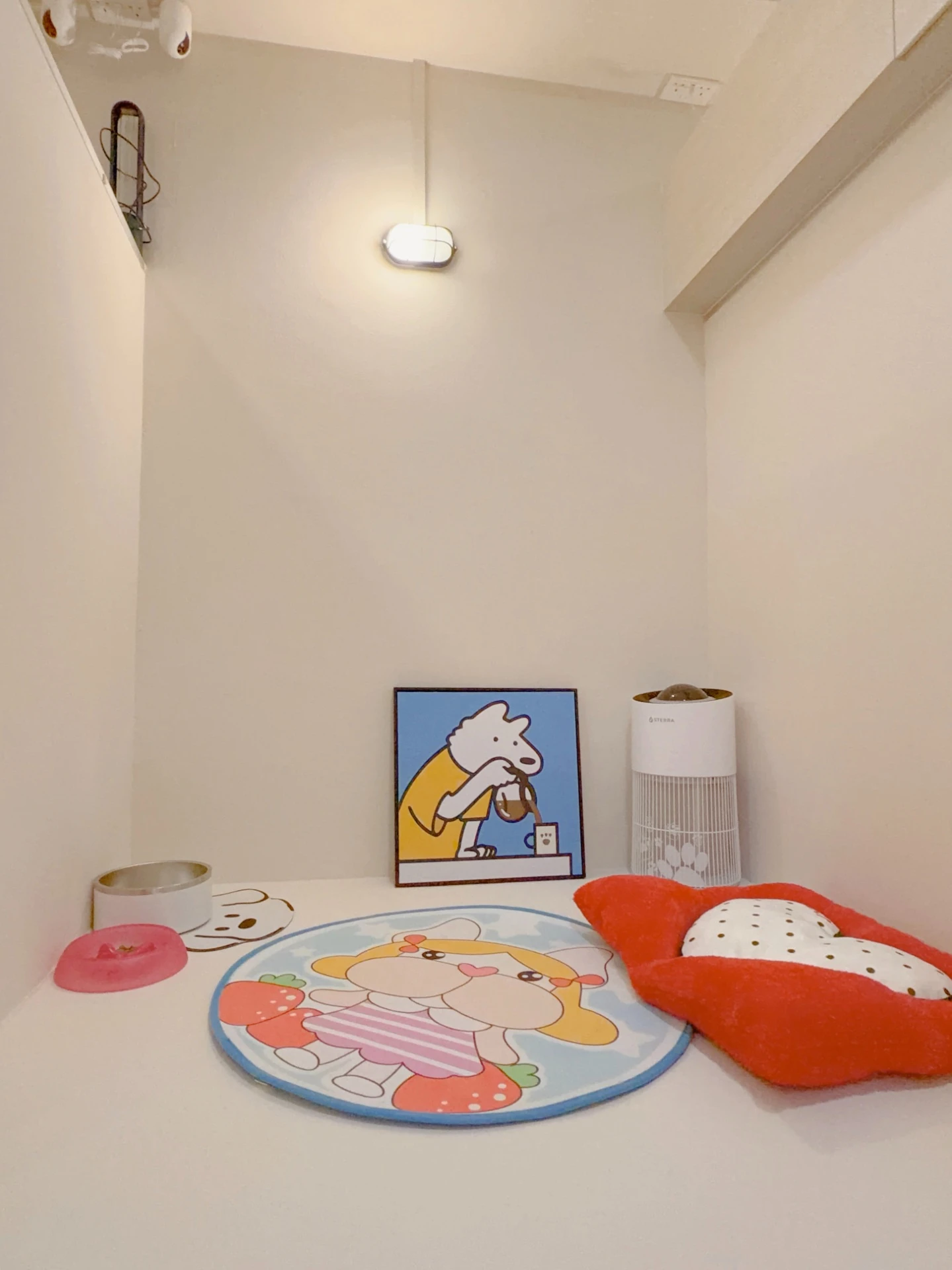 Spacious dog suite with window view