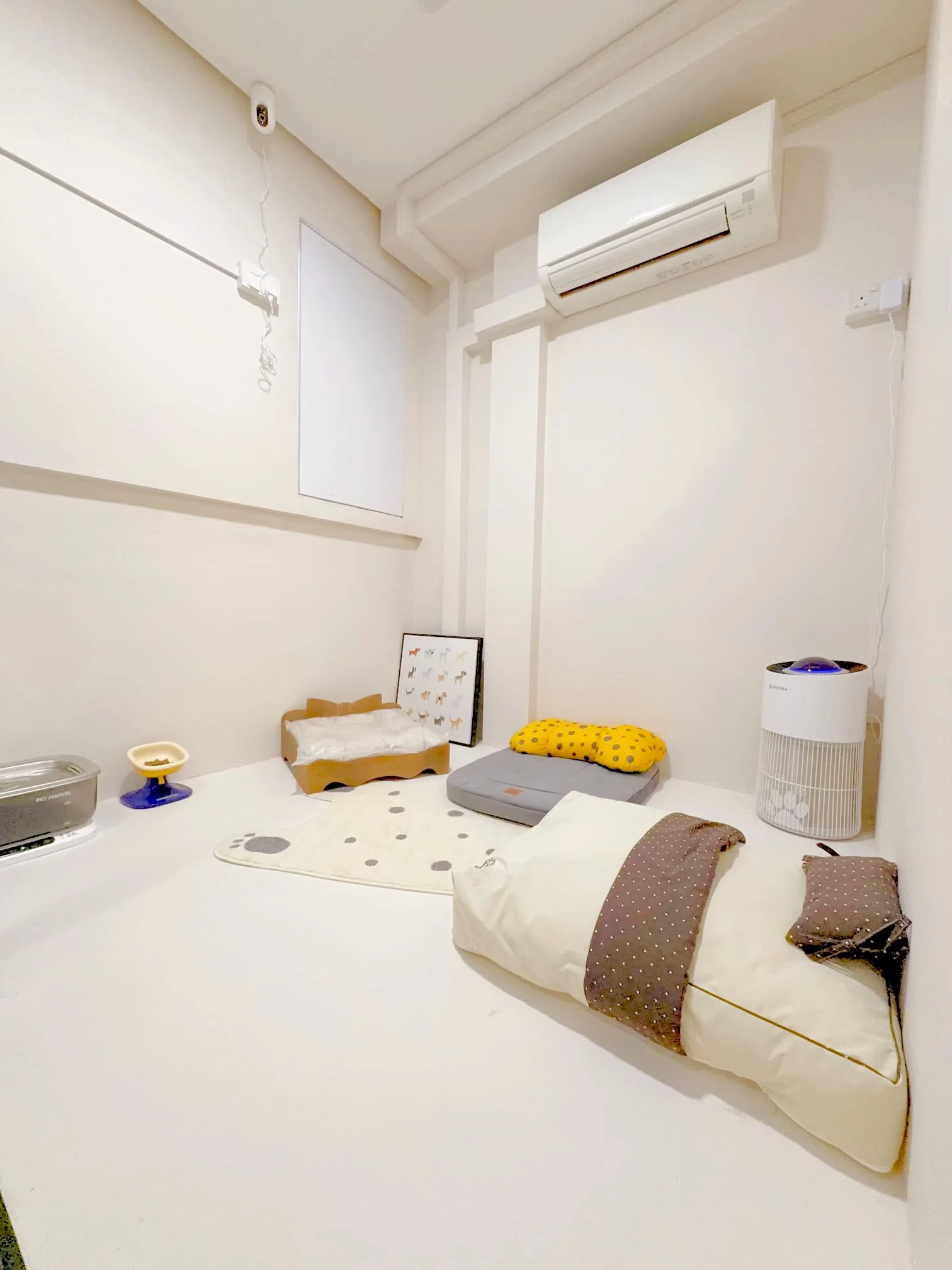 Luxury dog suite with TV and sofa