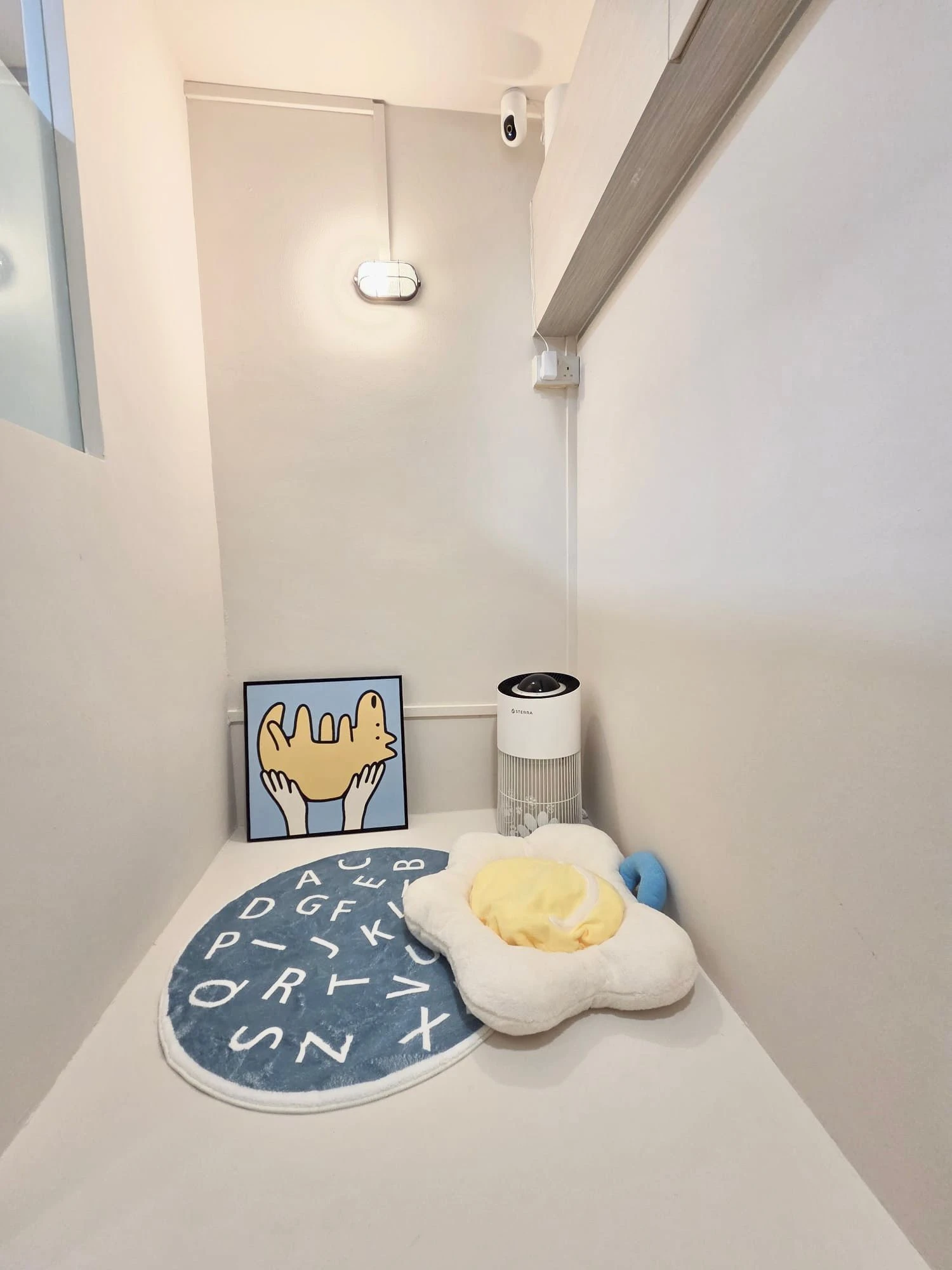 Spacious dog suite with window view