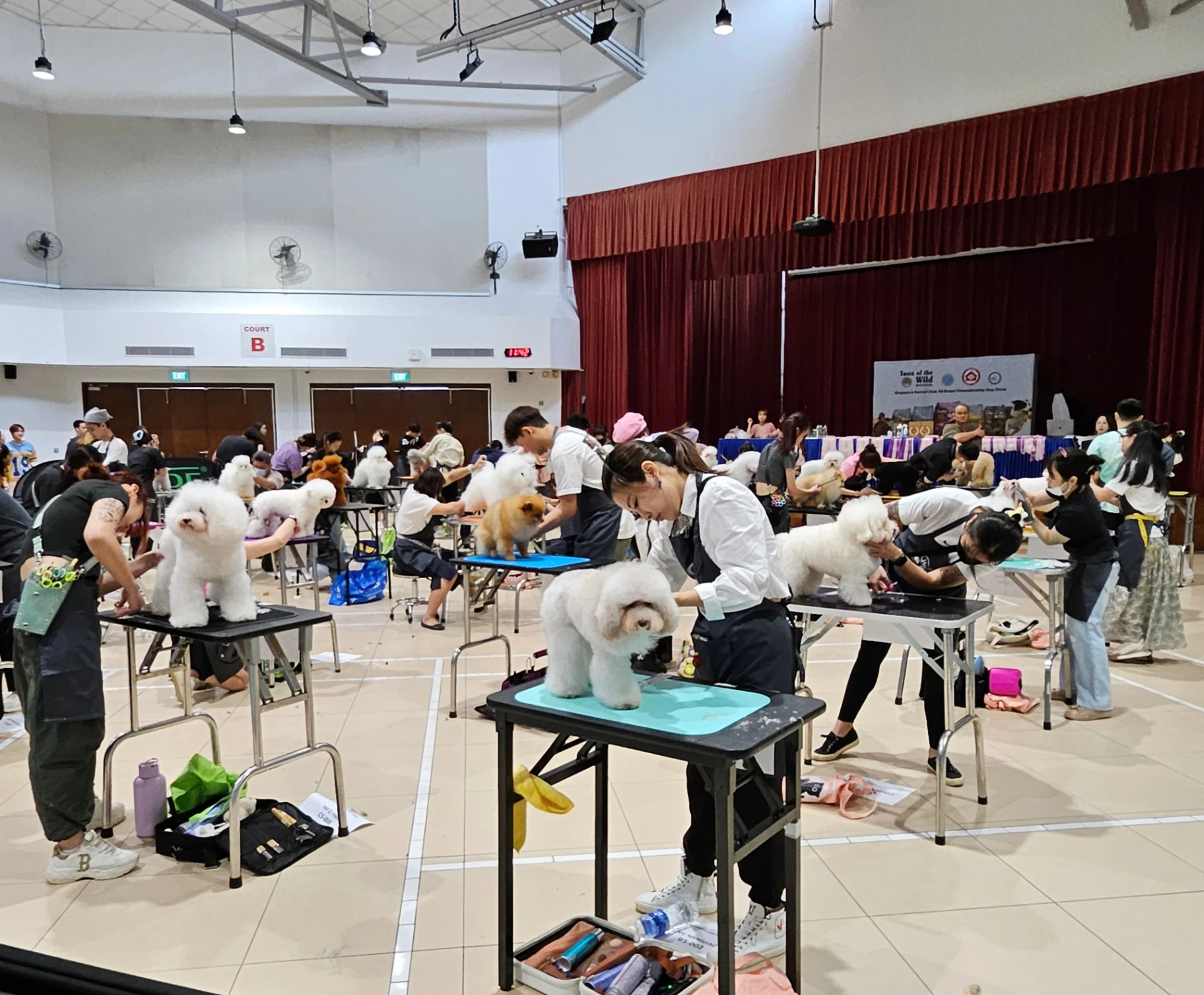 Snuggle Station staff member bonding with a happy dog