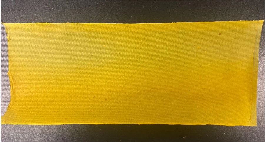 Microscopic view of nanofibers