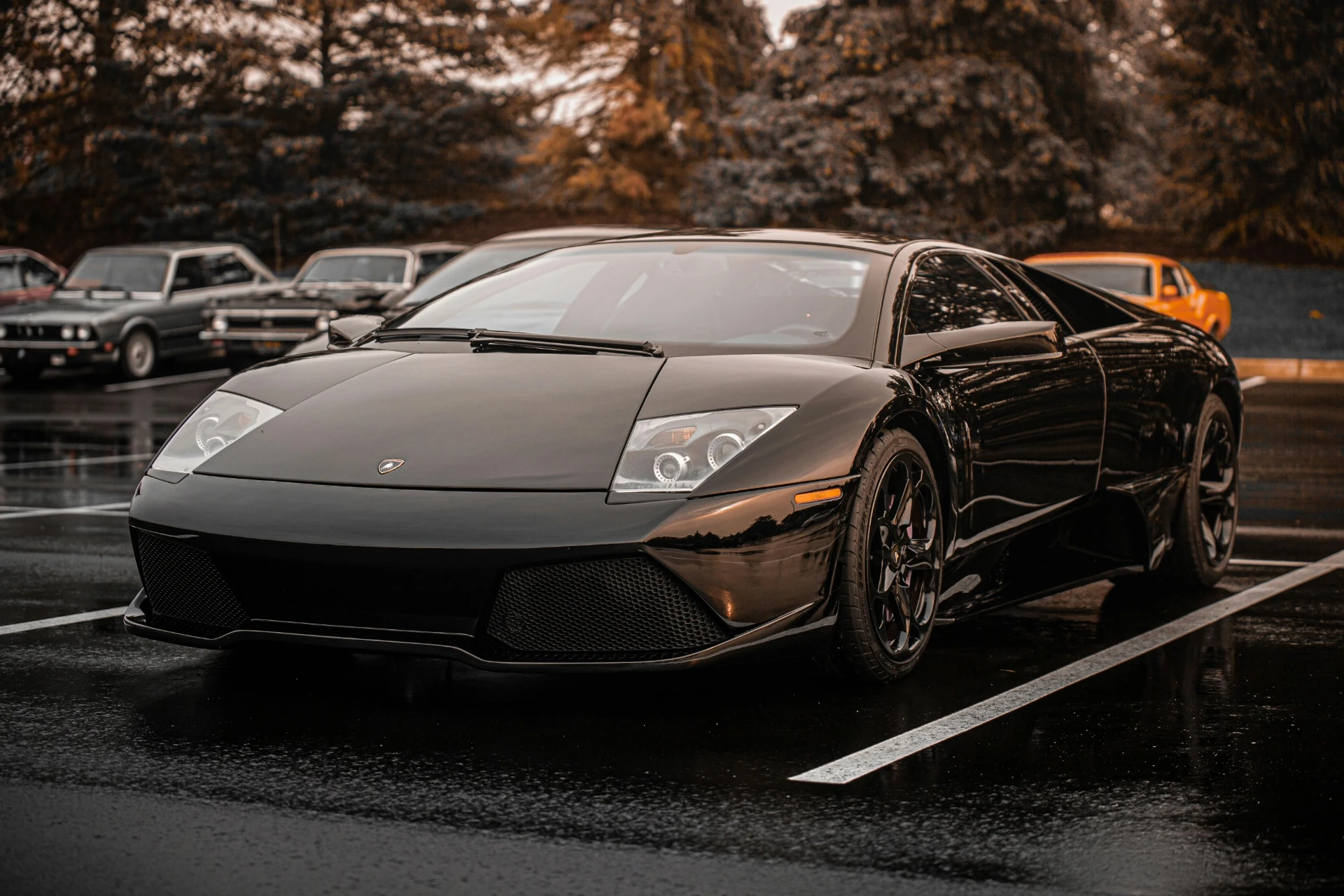 Alabama Wholesale Auto Dealership Lot