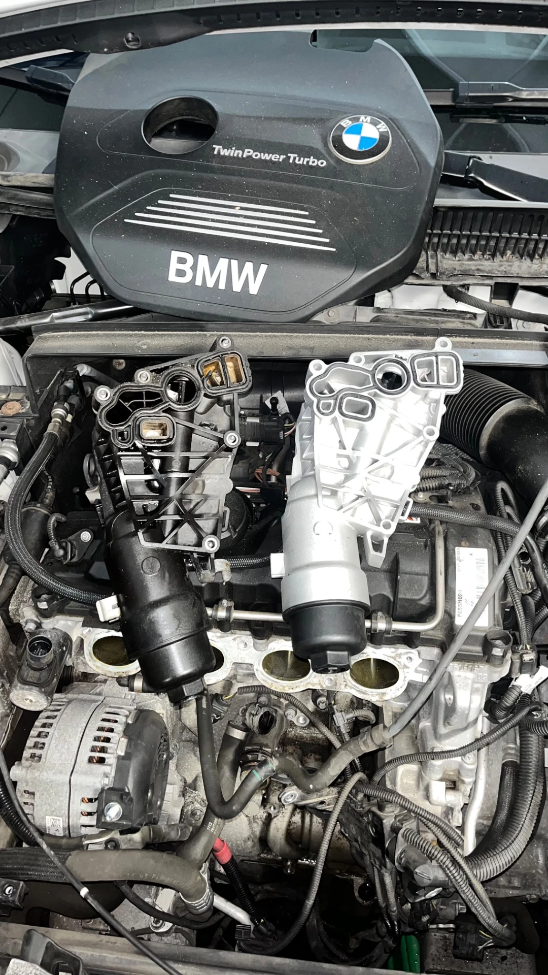 German Automotive Specialist working on a high-performance engine