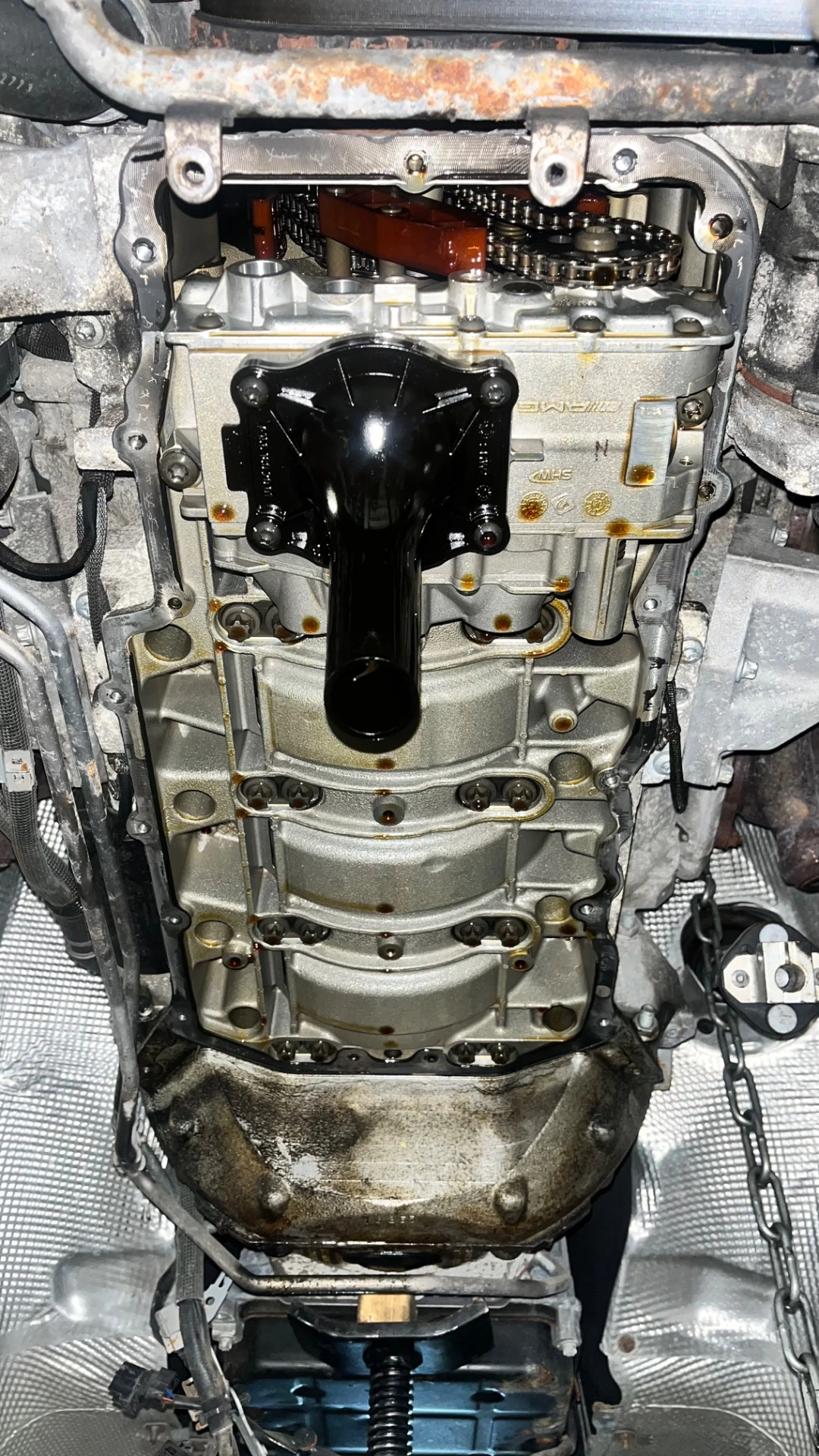 German auto engineering specialist working on a vehicle engine