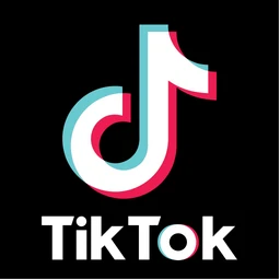 TikTok content example