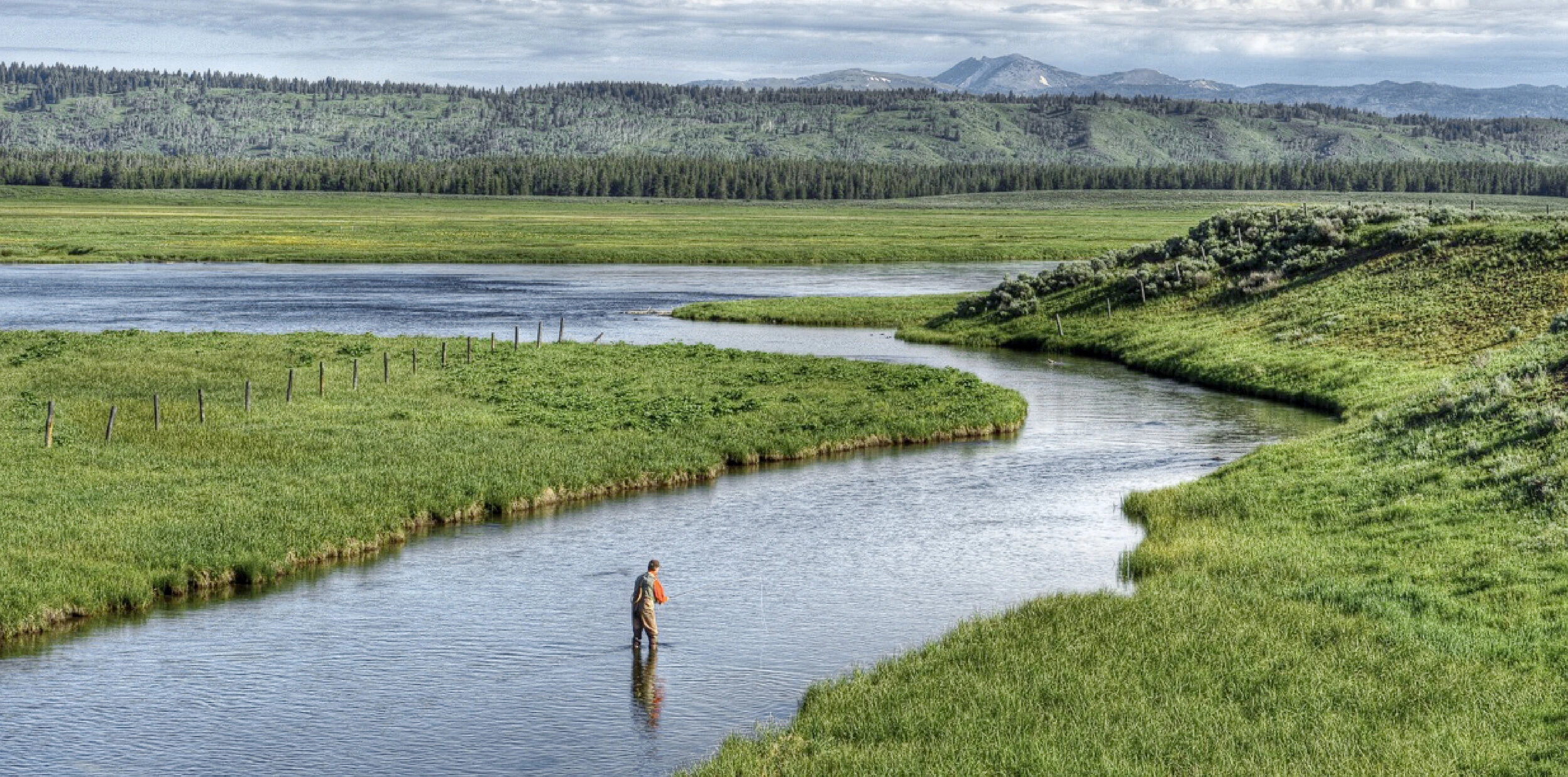 Conservation efforts on the Henry's Fork ecosystem