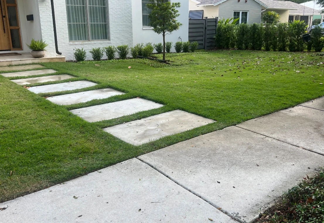 Finished lush green lawn with perfect shade and sun balance