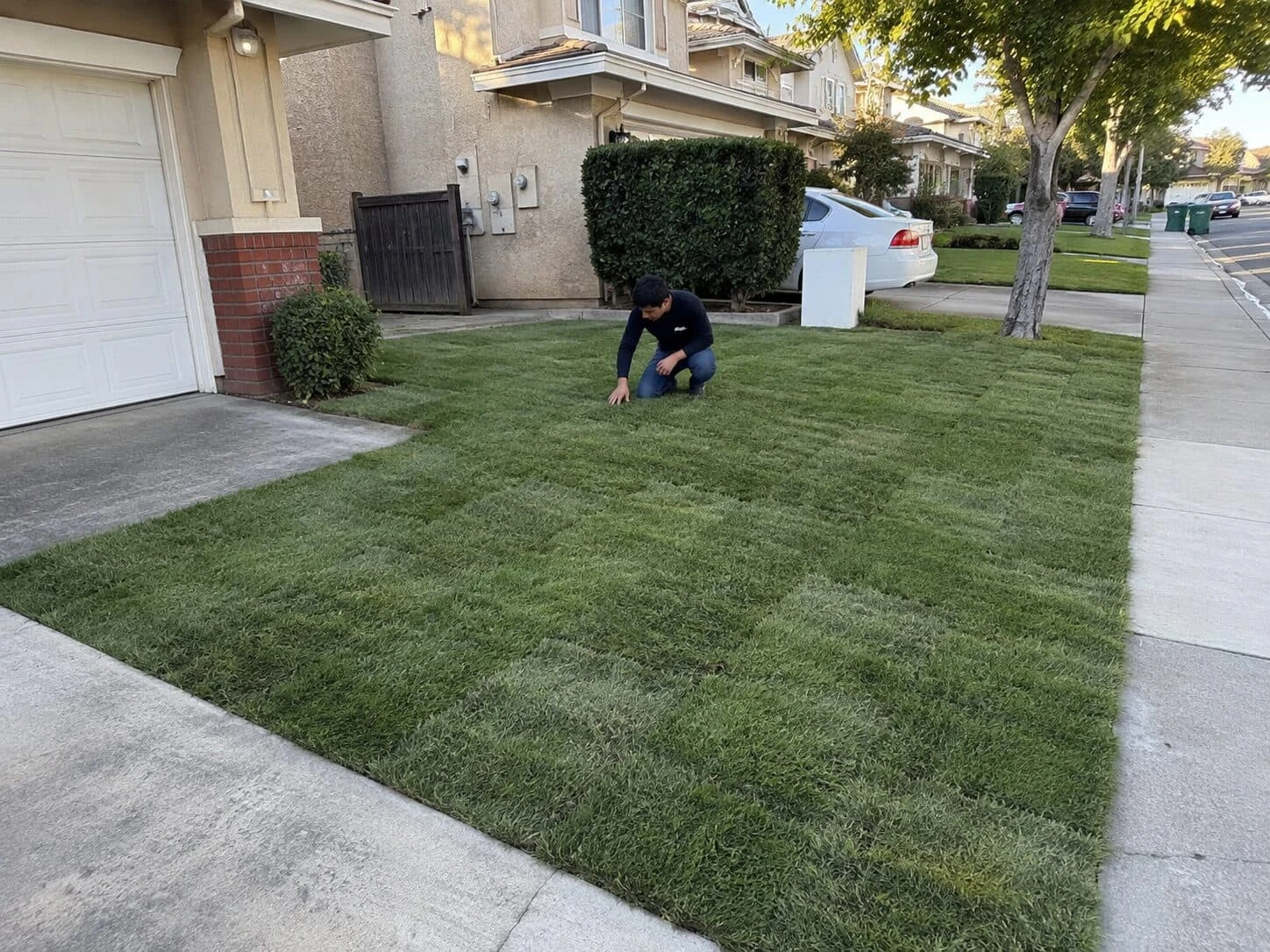 Empire Zoysia Premium Sod