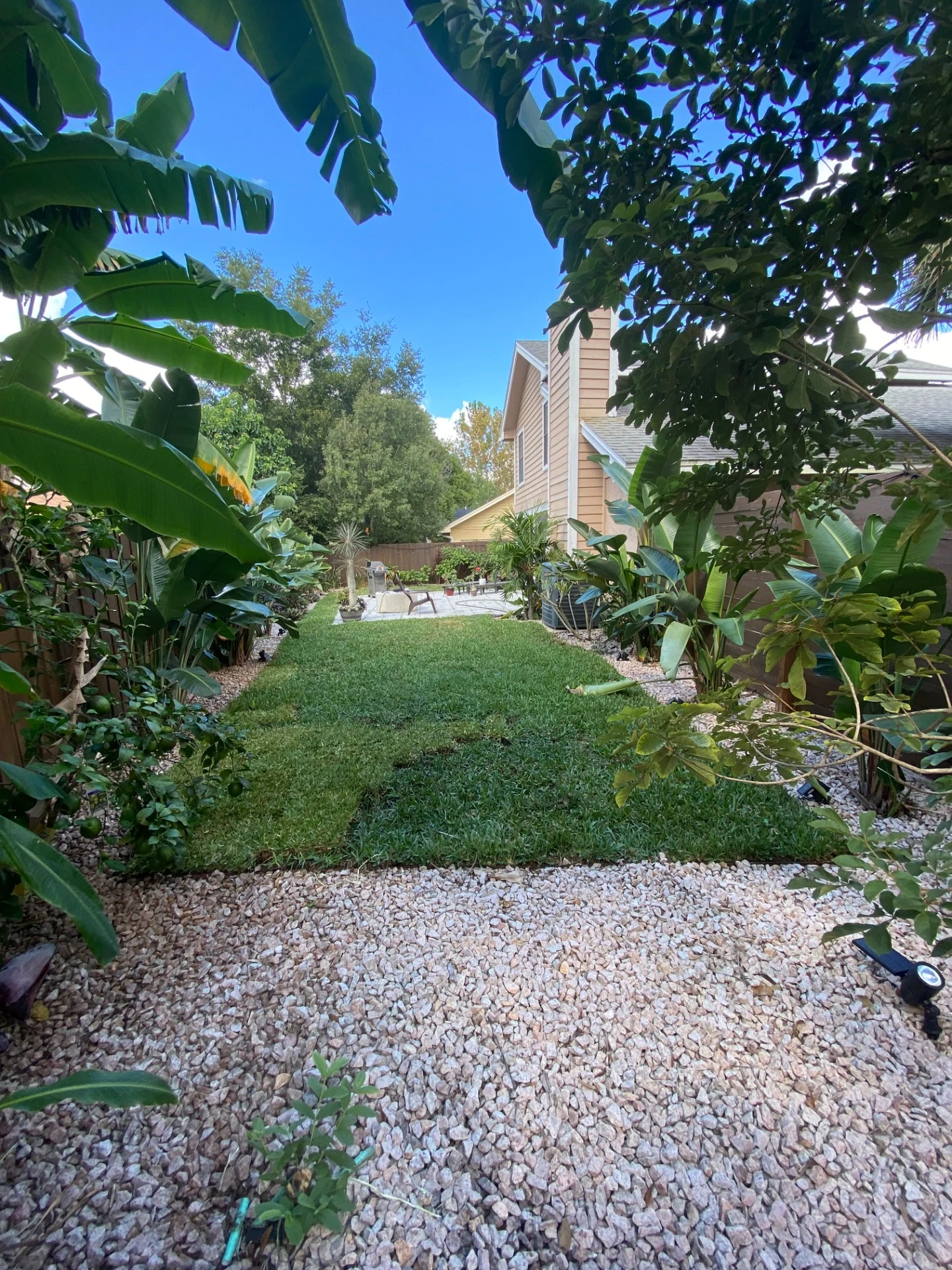 St Augustine sod Melbourne FL installation