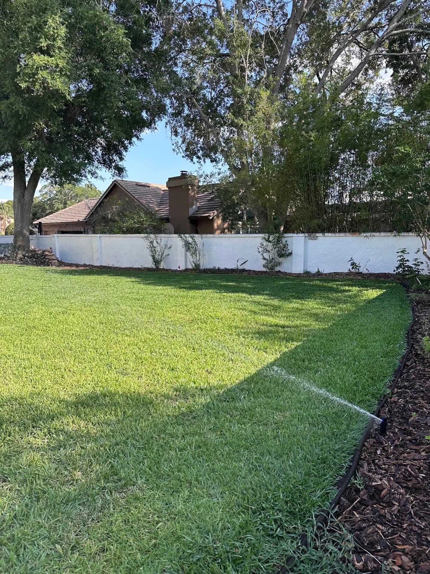Professional soil preparation process before sod laying
