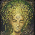 Profile photo of Errika