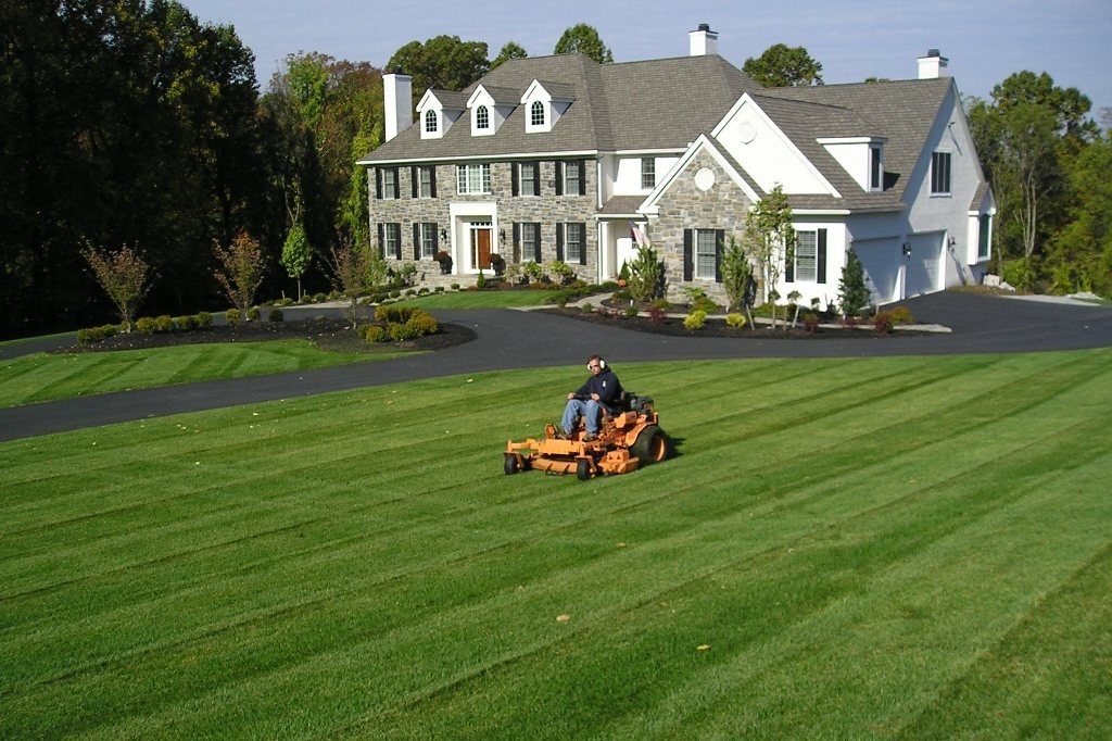 We Are Yard Maintenance Specialists We Keep Yards Clean